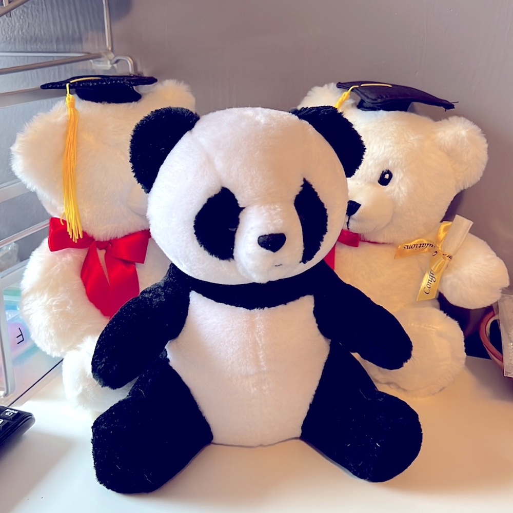 Graduation Bears + Panda 🐻